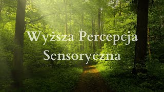 78 Wyższa Percepcja Sensoryczna [upl. by Natty]