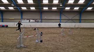 241116 Brabants Bont Jumping Vixen [upl. by Tobi]