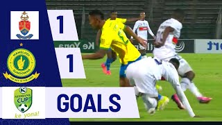 Amatuks vs Mamelodi Sundowns  Nedbank cup highlights  Goals [upl. by Starkey799]