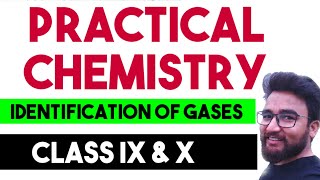 Practical Chemistry  Identification of gases  Class 9th and 10th [upl. by Shoemaker524]