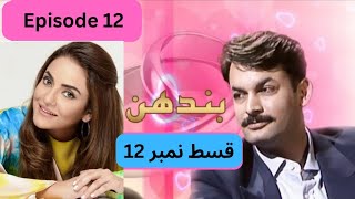 Bandhan Drama  PTV Old drama  Episode 12 complete  Nadia Khan  ARYDigitalasia [upl. by Naerb38]