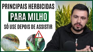 Principais herbicidas que podem ser utilizados na cultura do MILHO [upl. by Staal261]