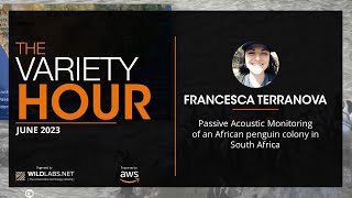 Francesca Terranova Passive Acoustic Monitoring of an African penguin colony in South Africa [upl. by Geis]