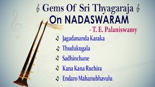 Classical Instrumental  Gems Of Thyagaraja On Nadaswaram  T E Palaniswamy  Jukebox [upl. by Lennahs]