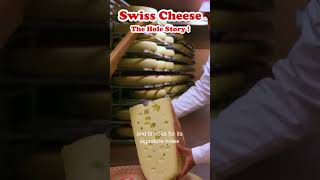 Swiss Cheese  The Hole Story [upl. by Staten]