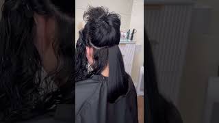 Blow dryer ✴️viralvideo trending haircut beauty [upl. by Himelman348]