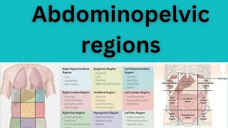 Abdominopelvic regions or Quadrants [upl. by Medrek417]