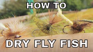 Dry Fly Fishing  How To with Tom Rosenbauer [upl. by Ave]