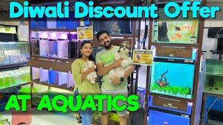 AT Aquatics Shares Top Diwali Discount Fish Stock Picks [upl. by Anelrats]