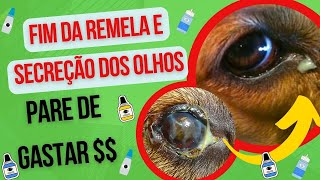 CACHORRO COM OLHOS CHEIOS DE REMELA E SECREÇÃO COLÍRIO CARO NÃO RESOLVE COMO CURAR OLHO REMELANDO [upl. by Akcira]