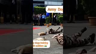 Army dogs training with soldiers 🇮🇳army dogsIndian army armydogs dogs pets love explore yt [upl. by Ahsoj]