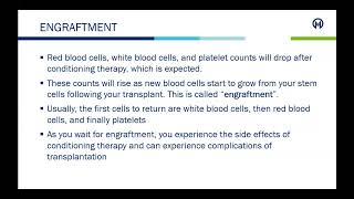 Allogeneic Stem Cell Transplant [upl. by Drofnas678]