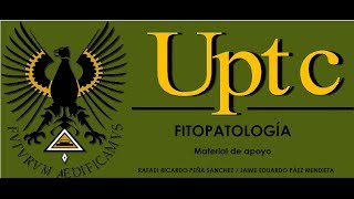 RECONOCIMIENTO DE SINTOMAS CAUSADOS POR HONGOS FITOPATÓGENOS [upl. by Nnylirehs]