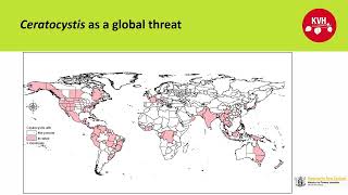 Ceratocystis fimbriata a global threat  Matt Dyck KVH [upl. by Suzanna]