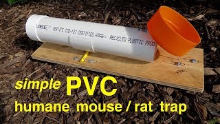 How to make ● a simple PVC HUMANE RATMOUSE TRAP [upl. by Hobbs]