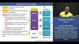 BMAT Classical Genetics – Part 2 Genetic Terminology [upl. by Goraud]