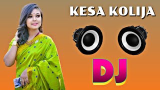 Kesa Kolija Assamese DJ Remix Song Hard Bass JBL [upl. by Eldrida888]