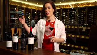 Pinot Noir Merlot Cabernet Sauvignon Shiraz Syrah  Red Wine Guide [upl. by Uoliram]