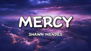 Shawn Mendes  Mercy Lyrics [upl. by Manning817]