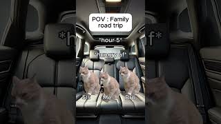 Cat memes 🐱 Family road trip catmemes relatable cat catshorts shorts family roadtrip [upl. by Ahsirkal]