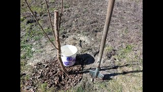 Купил дом в деревне у реки сажаем САД Жизнь в деревне дом в ДЕРЕВНЕ [upl. by Karmen]