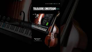 Tololoche Chicoteado VST para corridos mexicanos vstplugin corridostumbados musicproduction [upl. by Bertrand]