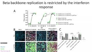 Max Erdmann  It’s not all about spike – investigating nonspike lineage defining mutations [upl. by Vally]