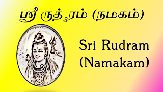 ஸ்ரீ ரூத்₃ரம் நமகம்  Sri Rudram Namakam  Tamil Script  Yajur Veda  Perfect Swara  K Suresh [upl. by Gio727]