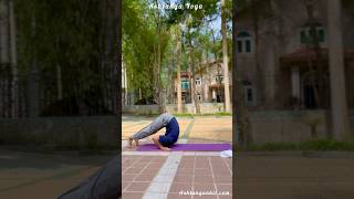 Ashtanga yoga  Backwards Rolling amp Chakrasana [upl. by Atterehs586]