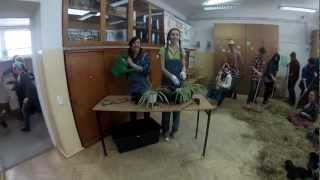 ZSE Gorlice LIPDUB 2013  Lou Bega  Mambo Nr 5 [upl. by Karmen]