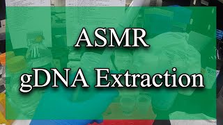 A day in the life of a molecular biologistgDNA extraction ASMR [upl. by Eibot]