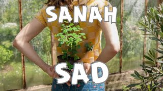 Sanah  Sad Tekst  Lyrics [upl. by Anwadal]