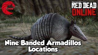 Nine banded Armadillo Locations rdr2 Online  Red Dead Online Nine banded Armadillos Location Guide [upl. by Cook465]