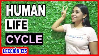 Human Life Cycle 👶🏻👨🏻‍🦱👵🏻 INGLÉS CHÉVERE 133 😎 [upl. by Annaiv797]