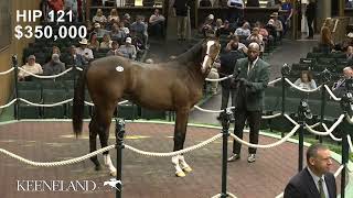 Hip 121 Gun Runner  Magical Feeling sells for 11 million at 2024 Keeneland September [upl. by Santa480]