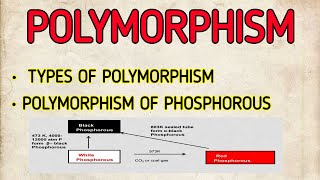 POLYMORPHISM  POLYMORPHISM OF PHOSPHORUS  TYPES OF POLYMORPHISM [upl. by Isak]