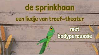 De Sprinkhaan  Een liedje met bodypercussie  Kriebelbeestjes [upl. by Anaehr]