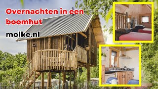 Overnachten in een boomhut [upl. by Crandall]