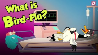 What Causes Bird Flu  BIRDFLU Pandemic  Virus  Dr Binocs Show  Peekaboo Kidz [upl. by Afnin]