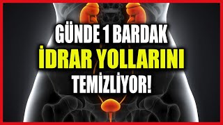 Günde Bir Bardak İdrar Yolları Enfeksiyonunu Tertemiz Yapıyor [upl. by Ahseryt229]