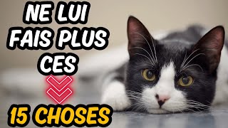 15 Chose Que Les Chats Déteste Le Plus👉 Ne Le Fais Jamis à Ton Chat [upl. by Amadis540]