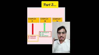 CSIR NET 2024Electron transport chain inhibitor part 3 ifas shorts shorts biochemistry shorts [upl. by Eirotal]