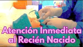 ATENCIÓN INICIAL DEL RECIÉN NACIDO👌👩‍⚕️ procedimiento enfermeria atencioninalreciennacido [upl. by Ovida]