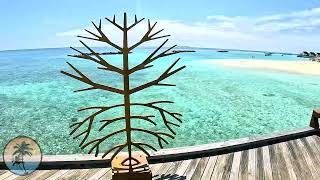 Fushifaru MALDIVES Boutique Resort 🌊🌴  FULL ISLAND TOUR 4K  Lhaviyani Atoll Vlog [upl. by Nahtad133]