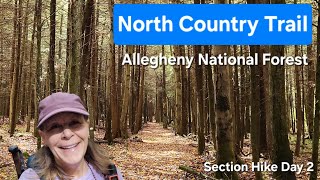 North Country Trail Section Hike Day 2 Allegheny National Forest [upl. by Purse686]