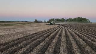 2023 Lynx Dynasty strip till running in MN yesterday [upl. by Eirual]