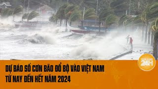 Dự báo số cơn bão đổ bộ vào Việt Nam từ nay đến hết năm 2024 [upl. by Alyak800]