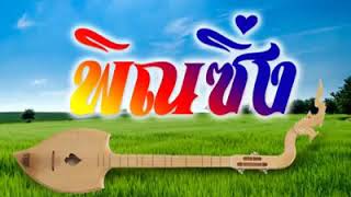 Thai Electric Phin  Isan music 泰國北方曼陀林 [upl. by Bride]