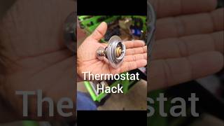 Thermostat Hack [upl. by Ulrika]