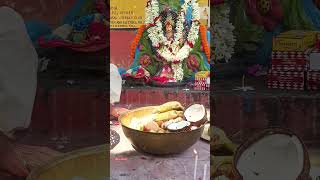 মা মনসা পূজো maamansa manasa hindufestival ytshorts song bengali mamonosa shorts village [upl. by Htes]